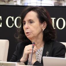 El ICAM encarga a María Emilia Casas la elaboración de una propuesta legislativa para regular una pasarela voluntaria al RETA
